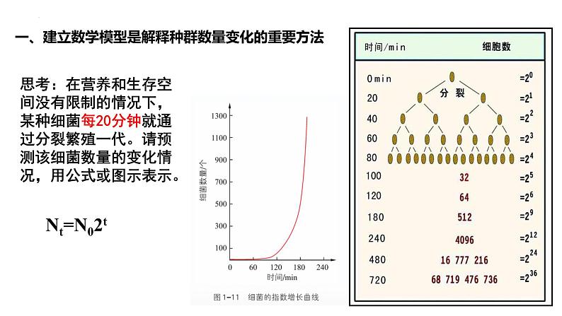 浙科版2019高二生物选择性必修二 1.2不同条件下种群的增长方式不同 课件04