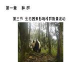 浙科版2019高二生物选择性必修二 1.3生态因素影响种群数量波动 课件