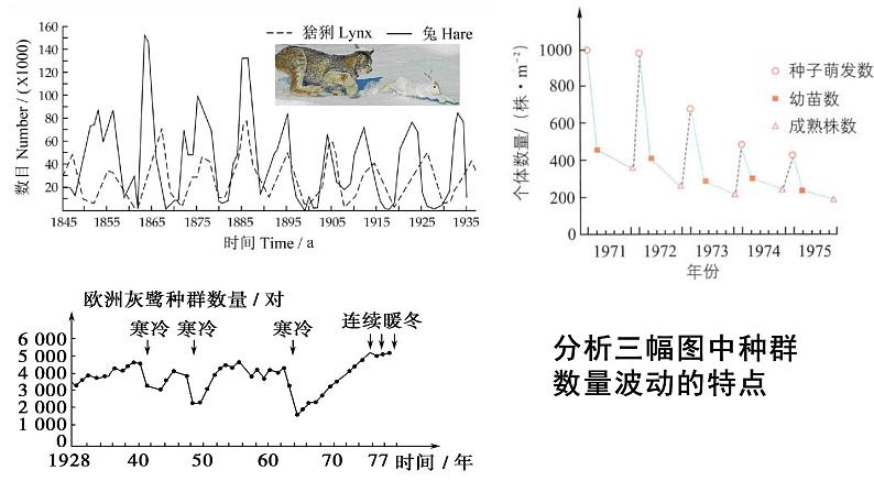 浙科版2019高二生物选择性必修二 1.3生态因素影响种群数量波动 课件06