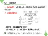 浙科版2019高二生物选择性必修二 第一章种群 章末复习课件