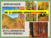 浙科版2019高二生物选择性必修二 2.1不同种群组成群落 课件