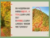 浙科版2019高二生物选择性必修二 2.2群落具有垂直、水平和时间结构 课件
