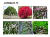浙科版2019高二生物选择性必修二 2.2群落具有垂直、水平和时间结构 课件