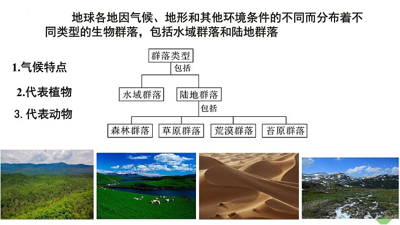 浙科版2019高二生物选择性必修二 2.3地球上分布着不同类型的群落 课件03