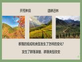 浙科版2019高二生物选择性必修二 2.4群落随时间变化有序地演替 课件