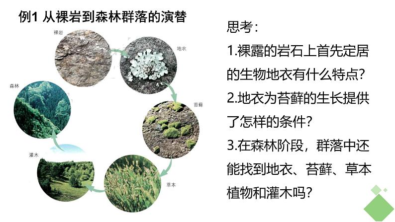 浙科版2019高二生物选择性必修二 2.4群落随时间变化有序地演替 课件06