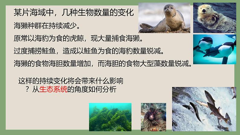 浙科版2019高二生物选择性必修二 3.1群落与非生物环境组成生态系统 课件03