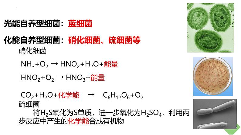 浙科版2019高二生物选择性必修二 3.1群落与非生物环境组成生态系统 课件06