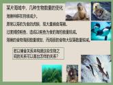浙科版2019高二生物选择性必修二 3.2食物链和食物网形成生态系统的营养结构 课件