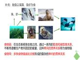 浙科版2019高二生物选择性必修二 3.2食物链和食物网形成生态系统的营养结构 课件