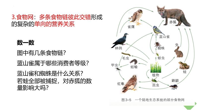 浙科版2019高二生物选择性必修二 3.2食物链和食物网形成生态系统的营养结构 课件06