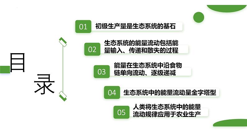 浙科版2019高二生物选择性必修二 3.3生态系统中的能量单向递减流动 课件02