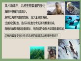 浙科版2019高二生物选择性必修二 3.3生态系统中的能量单向递减流动 课件
