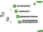 浙科版2019高二生物选择性必修二 3.4生态系统中的物质能被循环利用 课件