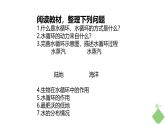 浙科版2019高二生物选择性必修二 3.4生态系统中的物质能被循环利用 课件