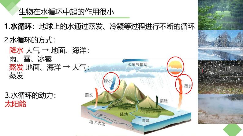 浙科版2019高二生物选择性必修二 3.4生态系统中的物质能被循环利用 课件04