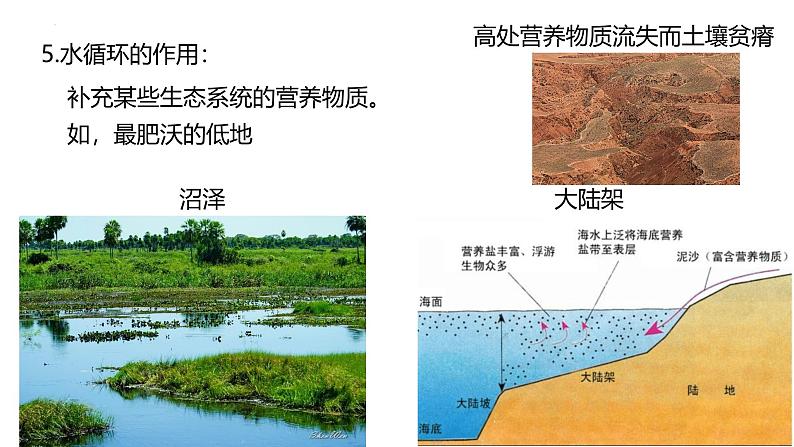 浙科版2019高二生物选择性必修二 3.4生态系统中的物质能被循环利用 课件06