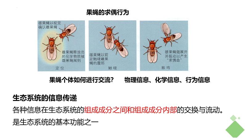 浙科版2019高二生物选择性必修二 3.5生态系统中存在信息传递 课件03