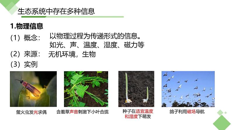 浙科版2019高二生物选择性必修二 3.5生态系统中存在信息传递 课件04