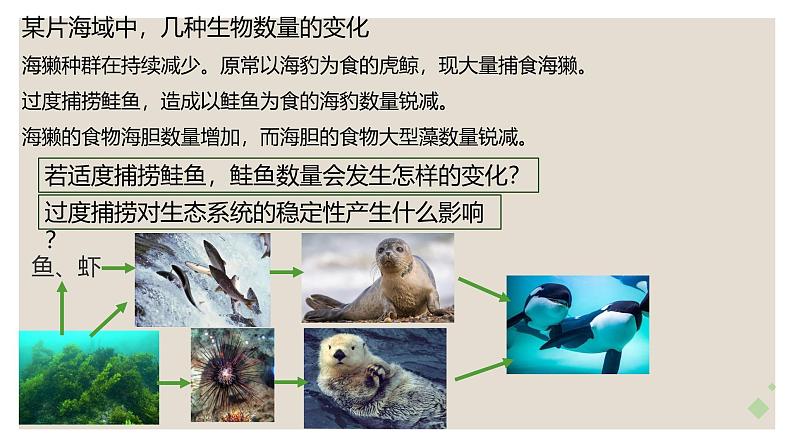 浙科版2019高二生物选择性必修二 3.6生态系统通过自我调节维持稳态 课件03