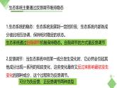 浙科版2019高二生物选择性必修二 3.6生态系统通过自我调节维持稳态 课件