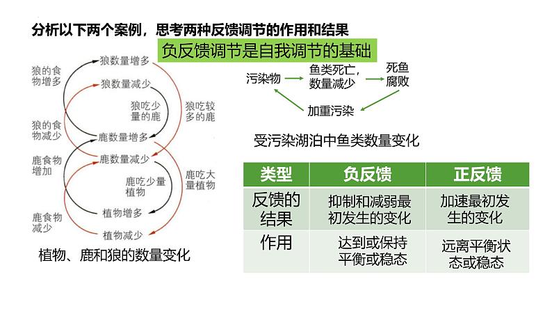 浙科版2019高二生物选择性必修二 3.6生态系统通过自我调节维持稳态 课件05