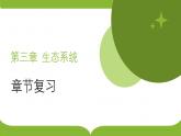 浙科版2019高二生物选择性必修二 第三章生态系统 章末复习课件