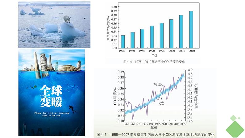 浙科版2019高二生物选择性必修二 4.2全球性生态环境问题日益突出 课件03