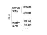 人教版新课标高中生物选修一 同步课件1.1果酒果醋的制作 课件