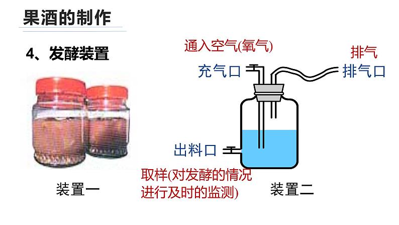 2021-2022学年高二下学期生物人教版选修一1.1果酒果醋的制作课件第8页