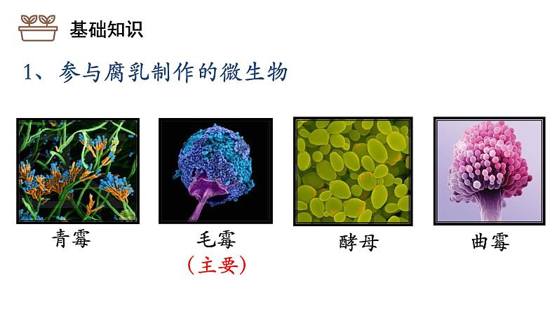 2021-2022学年高二下学期生物人教版选修1  1.2腐乳的制作课件第4页