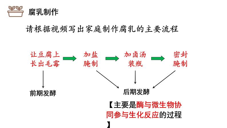 2021-2022学年高二下学期生物人教版选修1  1.2腐乳的制作课件第7页