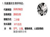 人教版新课标高中生物选修一 同步课件1.3制作泡菜并检测亚硝酸盐含量 课件