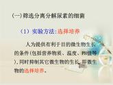 人教版新课标高中生物选修一 同步课件第二章 第二节 土壤中分解尿素的细菌的分离与计数 课件