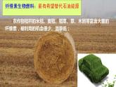 人教版新课标高中生物选修一 同步课件2.3分解纤维素的微生物的分离 课件