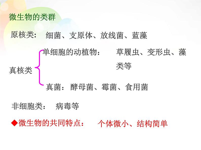 人教版新课标高中生物选修一 同步课件专题2 微生物的培养与应用 课件第2页