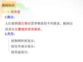 人教版新课标高中生物选修一 同步课件专题2 微生物的培养与应用 课件