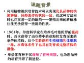 人教版新课标高中生物选修一 同步课件3.2《月季的花药培养》课件