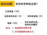 人教版新课标高中生物选修一 同步课件3.2《月季的花药培养》课件
