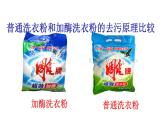 人教版新课标高中生物选修一 同步课件专题4-2 探讨加酶洗衣粉的洗涤效果 课件