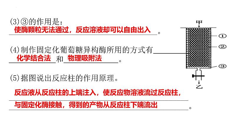 人教版新课标高中生物选修一 同步课件4.3酵母细胞的固定化 课件02