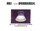 人教版新课标高中生物选修一 同步课件4.3酵母细胞的固定化 课件
