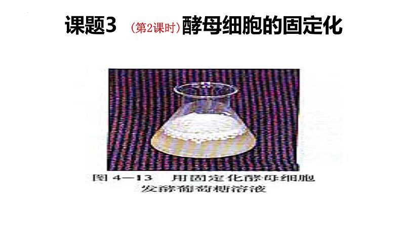 人教版新课标高中生物选修一 同步课件4.3酵母细胞的固定化 课件03