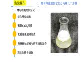 人教版新课标高中生物选修一 同步课件4.3酵母细胞的固定化 课件