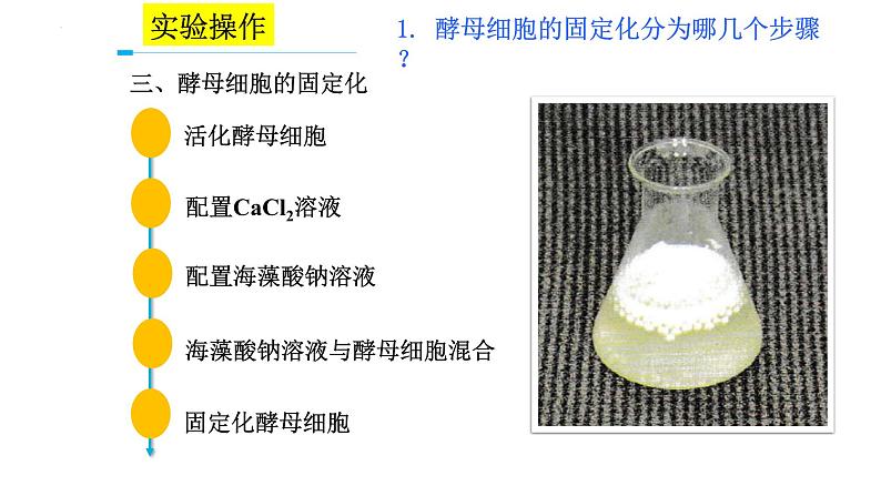 人教版新课标高中生物选修一 同步课件4.3酵母细胞的固定化 课件05