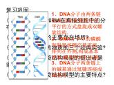 人教版新课标高中生物选修一 同步课件5.1DNA的粗提取与鉴定 课件