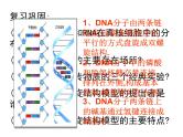 人教版新课标高中生物选修一 同步课件5.1DNA的粗提取与鉴定 课件