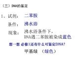 人教版新课标高中生物选修一 同步课件5.1DNA的粗提取与鉴定 课件