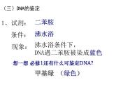人教版新课标高中生物选修一 同步课件5.1DNA的粗提取与鉴定 课件