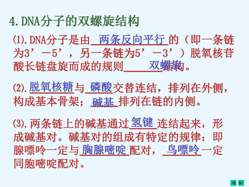 人教版新课标高中生物选修一 同步课件5.2多聚酶链式反应扩增DNA片断 课件04